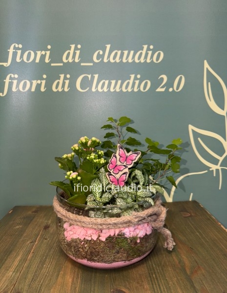 Composizioni di piante miste in vetro