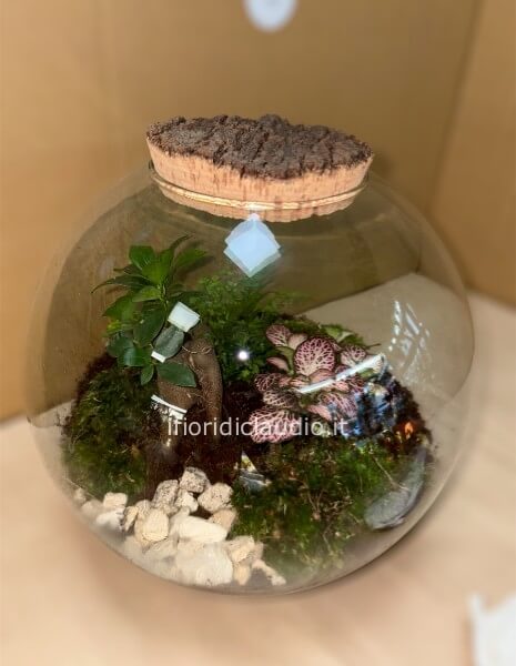 bonsai terrarium, Vaso Antichizzato