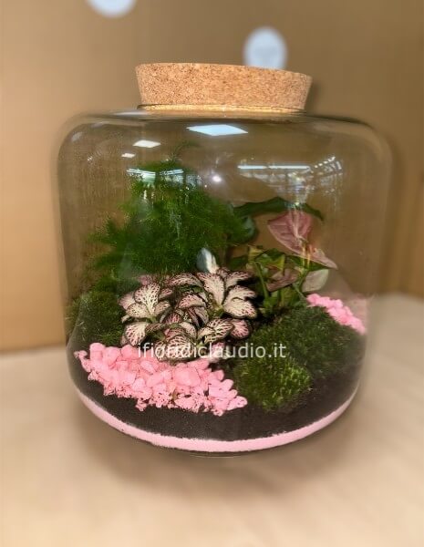 Terrarium Di Piante Miste