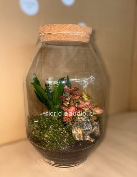 Terrarium Di Piante Miste