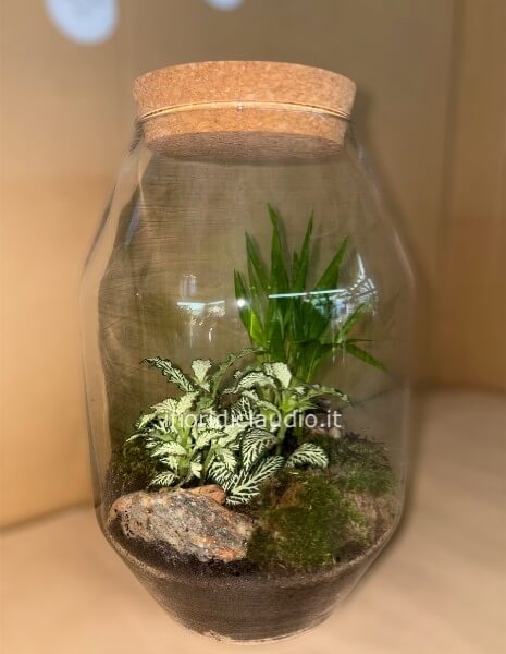  Terrarium Di Piante Miste