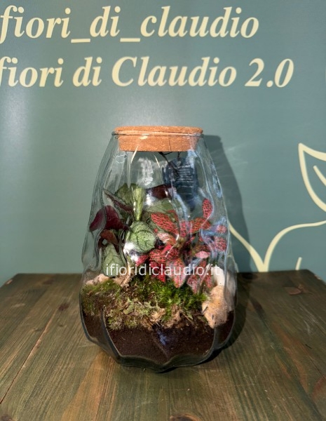 🌿 TERRARIUM DI PIANTE MISTE CON VASO IN VETRO ONDULATO