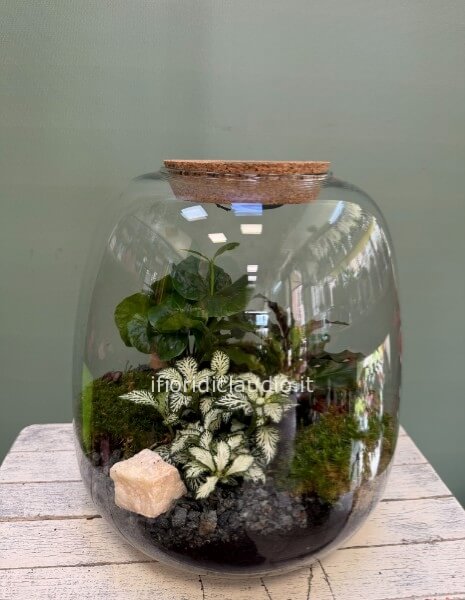  Terrarium Di Piante Miste