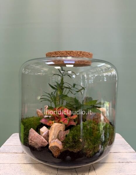 Terrarium Di Piante Miste